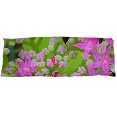 Hot Pink Succulent Sedum With Fleshy Green Leaves Body Pillow Case Dakimakura (two Sides) by myrubiogarden