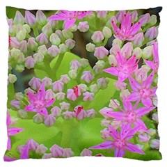 Hot Pink Succulent Sedum With Fleshy Green Leaves Standard Flano Cushion Case (one Side) by myrubiogarden