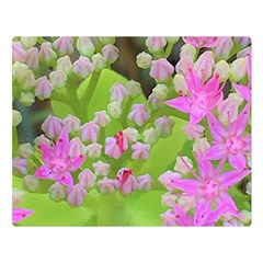 Hot Pink Succulent Sedum With Fleshy Green Leaves Double Sided Flano Blanket (large)  by myrubiogarden