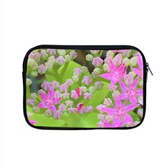 Hot Pink Succulent Sedum With Fleshy Green Leaves Apple Macbook Pro 15  Zipper Case by myrubiogarden