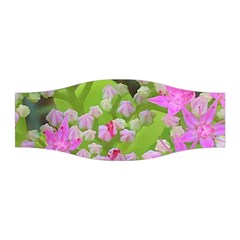 Hot Pink Succulent Sedum With Fleshy Green Leaves Stretchable Headband by myrubiogarden