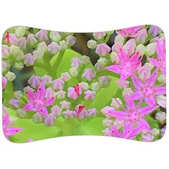 Hot Pink Succulent Sedum With Fleshy Green Leaves Velour Seat Head Rest Cushion by myrubiogarden