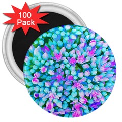 Blue And Hot Pink Succulent Sedum Flowers Detail 3  Magnets (100 Pack)