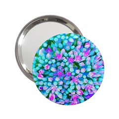 Blue And Hot Pink Succulent Sedum Flowers Detail 2 25  Handbag Mirrors by myrubiogarden