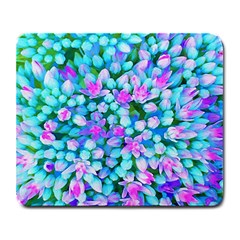 Blue And Hot Pink Succulent Sedum Flowers Detail Large Mousepads by myrubiogarden