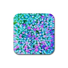 Blue And Hot Pink Succulent Sedum Flowers Detail Rubber Coaster (square)  by myrubiogarden