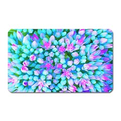 Blue And Hot Pink Succulent Sedum Flowers Detail Magnet (rectangular) by myrubiogarden