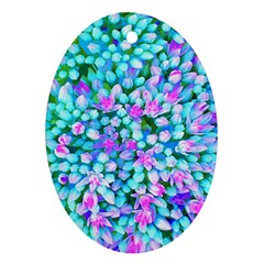 Blue And Hot Pink Succulent Sedum Flowers Detail Oval Ornament (two Sides) by myrubiogarden