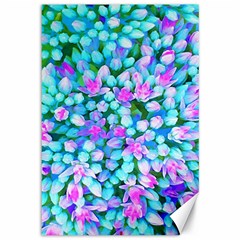 Blue And Hot Pink Succulent Sedum Flowers Detail Canvas 12  X 18 