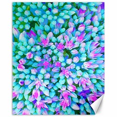 Blue And Hot Pink Succulent Sedum Flowers Detail Canvas 16  X 20  by myrubiogarden