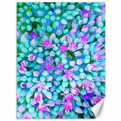 Blue And Hot Pink Succulent Sedum Flowers Detail Canvas 36  X 48  by myrubiogarden