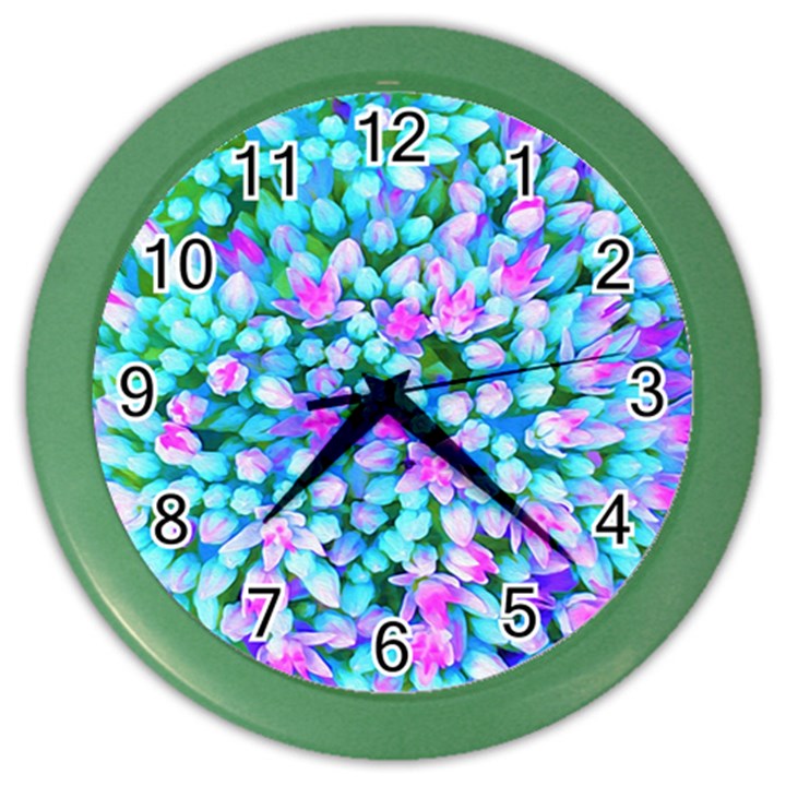 Blue And Hot Pink Succulent Sedum Flowers Detail Color Wall Clock