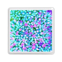 Blue And Hot Pink Succulent Sedum Flowers Detail Memory Card Reader (square) by myrubiogarden