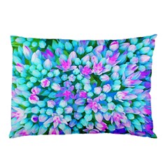 Blue And Hot Pink Succulent Sedum Flowers Detail Pillow Case (two Sides) by myrubiogarden