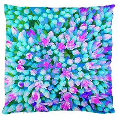 Blue And Hot Pink Succulent Sedum Flowers Detail Large Cushion Case (two Sides) by myrubiogarden