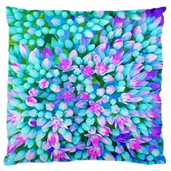 Blue And Hot Pink Succulent Sedum Flowers Detail Standard Flano Cushion Case (one Side) by myrubiogarden