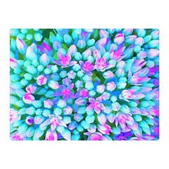 Blue And Hot Pink Succulent Sedum Flowers Detail Double Sided Flano Blanket (mini)  by myrubiogarden