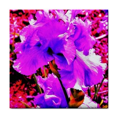 Abstract Ultra Violet Purple Iris On Red And Pink Tile Coasters by myrubiogarden