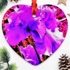 Abstract Ultra Violet Purple Iris On Red And Pink Ornament (Heart)