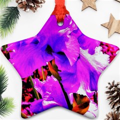 Abstract Ultra Violet Purple Iris On Red And Pink Ornament (star) by myrubiogarden