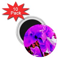 Abstract Ultra Violet Purple Iris On Red And Pink 1.75  Magnets (10 pack) 