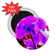 Abstract Ultra Violet Purple Iris On Red And Pink 2.25  Magnets (100 pack) 