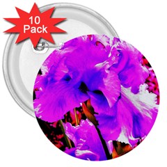 Abstract Ultra Violet Purple Iris On Red And Pink 3  Buttons (10 pack) 