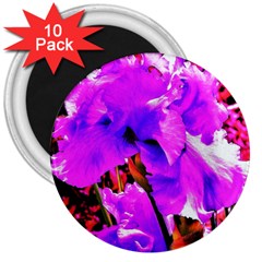 Abstract Ultra Violet Purple Iris On Red And Pink 3  Magnets (10 pack) 