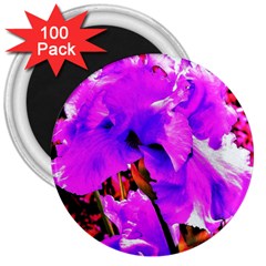 Abstract Ultra Violet Purple Iris On Red And Pink 3  Magnets (100 pack)