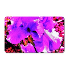 Abstract Ultra Violet Purple Iris On Red And Pink Magnet (rectangular) by myrubiogarden