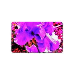 Abstract Ultra Violet Purple Iris On Red And Pink Magnet (name Card) by myrubiogarden