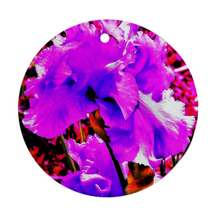 Abstract Ultra Violet Purple Iris On Red And Pink Round Ornament (Two Sides)