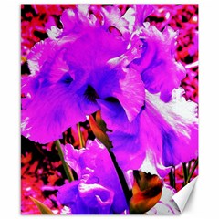 Abstract Ultra Violet Purple Iris On Red And Pink Canvas 8  x 10 