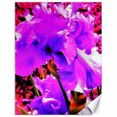 Abstract Ultra Violet Purple Iris On Red And Pink Canvas 18  x 24 