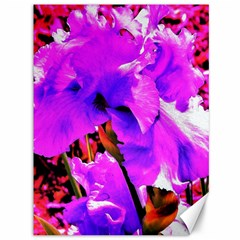 Abstract Ultra Violet Purple Iris On Red And Pink Canvas 36  X 48  by myrubiogarden