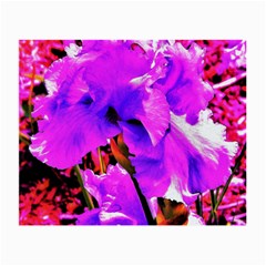 Abstract Ultra Violet Purple Iris On Red And Pink Small Glasses Cloth (2-Side)