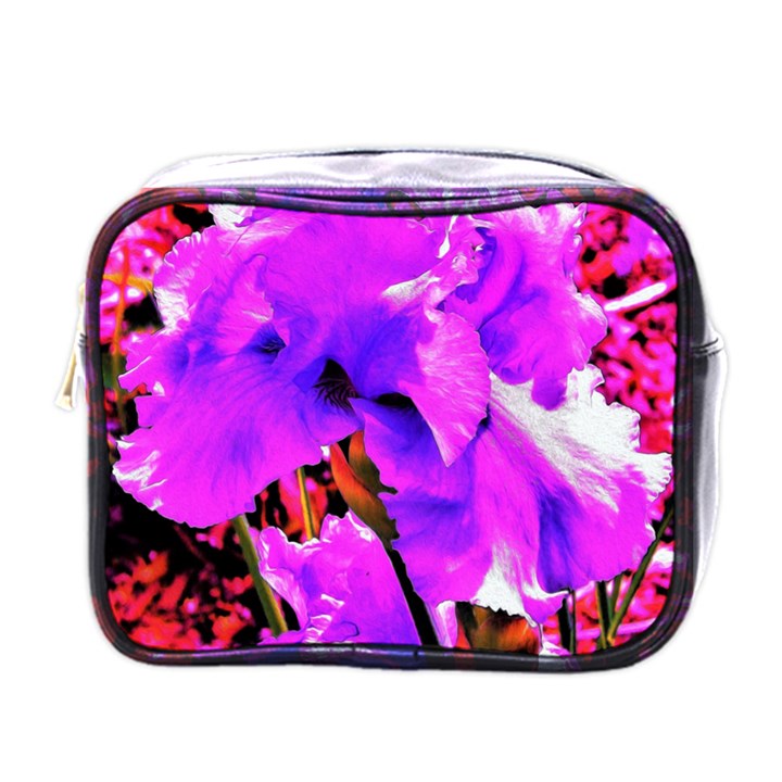 Abstract Ultra Violet Purple Iris On Red And Pink Mini Toiletries Bag (One Side)