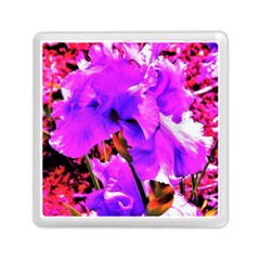 Abstract Ultra Violet Purple Iris On Red And Pink Memory Card Reader (Square)