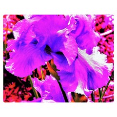 Abstract Ultra Violet Purple Iris On Red And Pink Double Sided Flano Blanket (medium)  by myrubiogarden