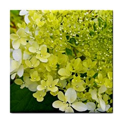 Elegant Chartreuse Green Limelight Hydrangea Macro Tile Coasters by myrubiogarden