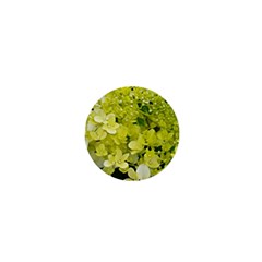 Elegant Chartreuse Green Limelight Hydrangea Macro 1  Mini Buttons by myrubiogarden