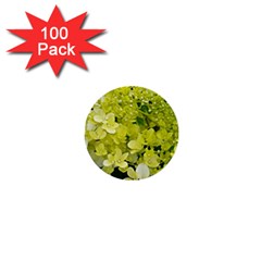 Elegant Chartreuse Green Limelight Hydrangea Macro 1  Mini Buttons (100 Pack) 