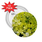 Elegant Chartreuse Green Limelight Hydrangea Macro 2.25  Buttons (10 pack)  Front