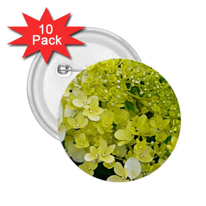 Elegant Chartreuse Green Limelight Hydrangea Macro 2.25  Buttons (10 pack) 