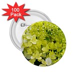 Elegant Chartreuse Green Limelight Hydrangea Macro 2.25  Buttons (100 pack)  Front