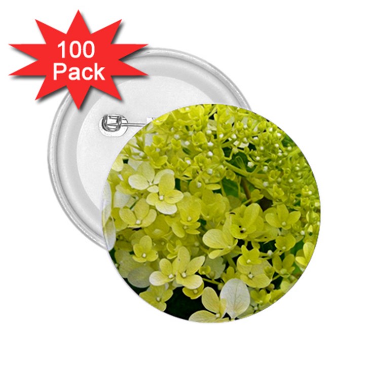 Elegant Chartreuse Green Limelight Hydrangea Macro 2.25  Buttons (100 pack) 