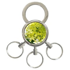 Elegant Chartreuse Green Limelight Hydrangea Macro 3-ring Key Chains