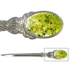 Elegant Chartreuse Green Limelight Hydrangea Macro Letter Opener by myrubiogarden