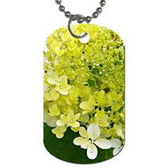 Elegant Chartreuse Green Limelight Hydrangea Macro Dog Tag (one Side) by myrubiogarden