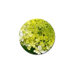 Elegant Chartreuse Green Limelight Hydrangea Macro Golf Ball Marker by myrubiogarden